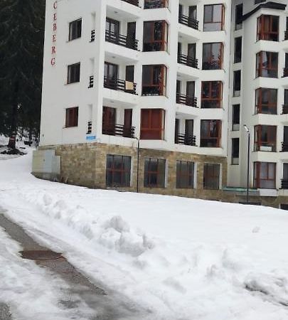 Forest Place Daire Pamporovo Dış mekan fotoğraf