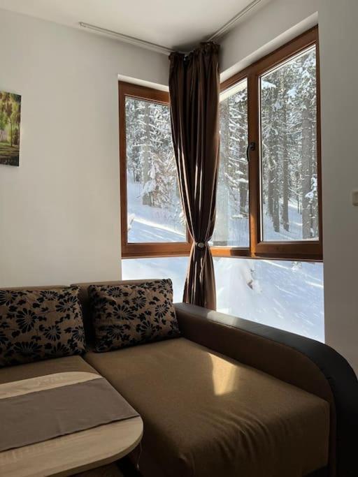 Forest Place Daire Pamporovo Dış mekan fotoğraf
