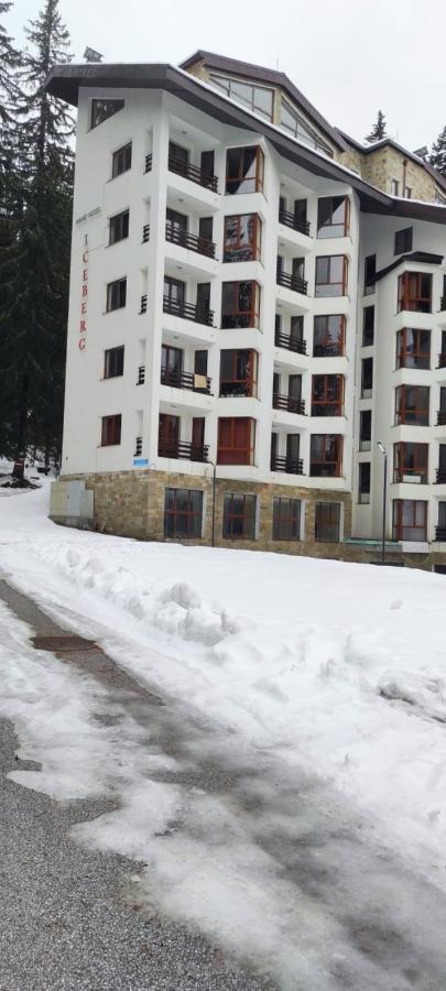 Forest Place Daire Pamporovo Dış mekan fotoğraf